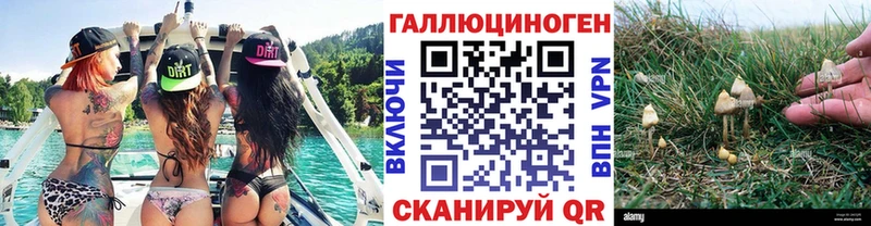 Галлюциногенные грибы Cubensis  Купить  Нахабино 
